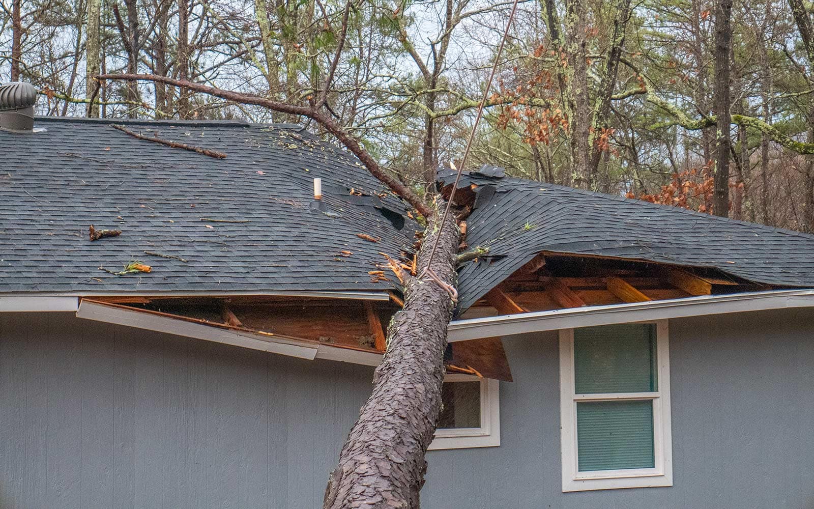bg-home-roof-wind-tree-damage Roofing Shingles Wind Storm and Tree Damage