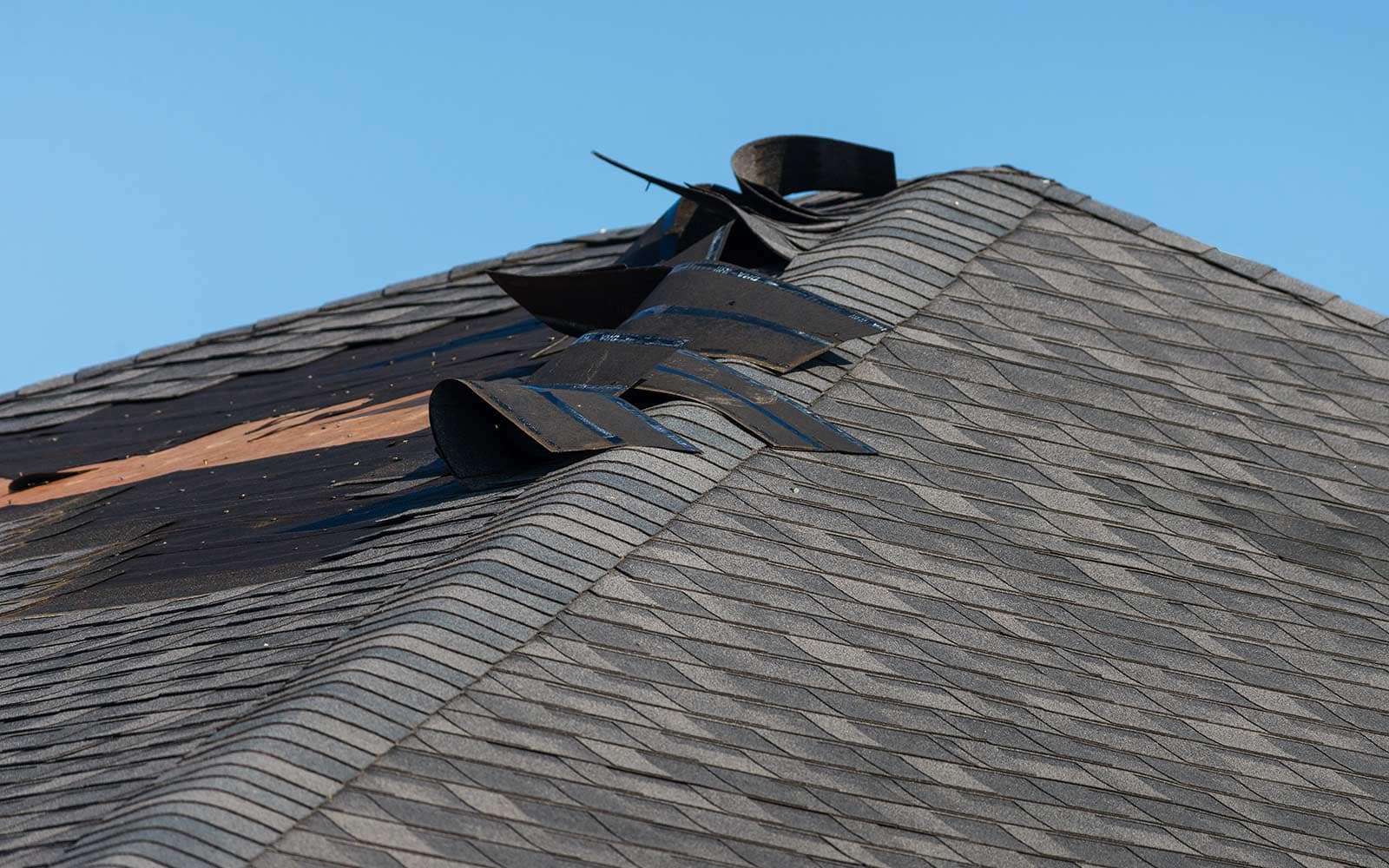 bg-roofing-shingles-wind-damage Roofing Shingles Wind Damage