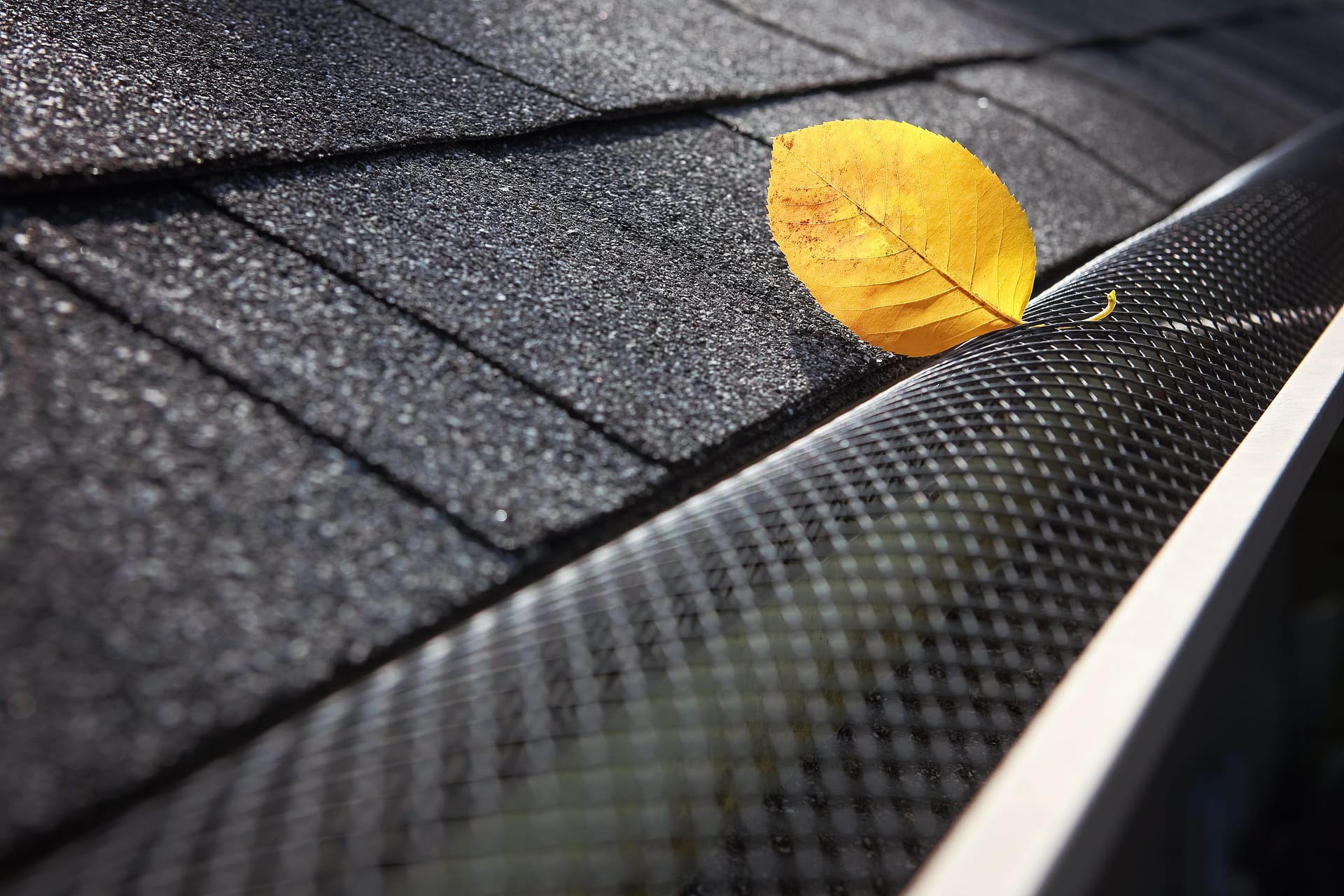 Plastic guard over gutter on a roof with a leaf stuck on the out Plastic guard over gutter on a roof with a leaf stuck on the out