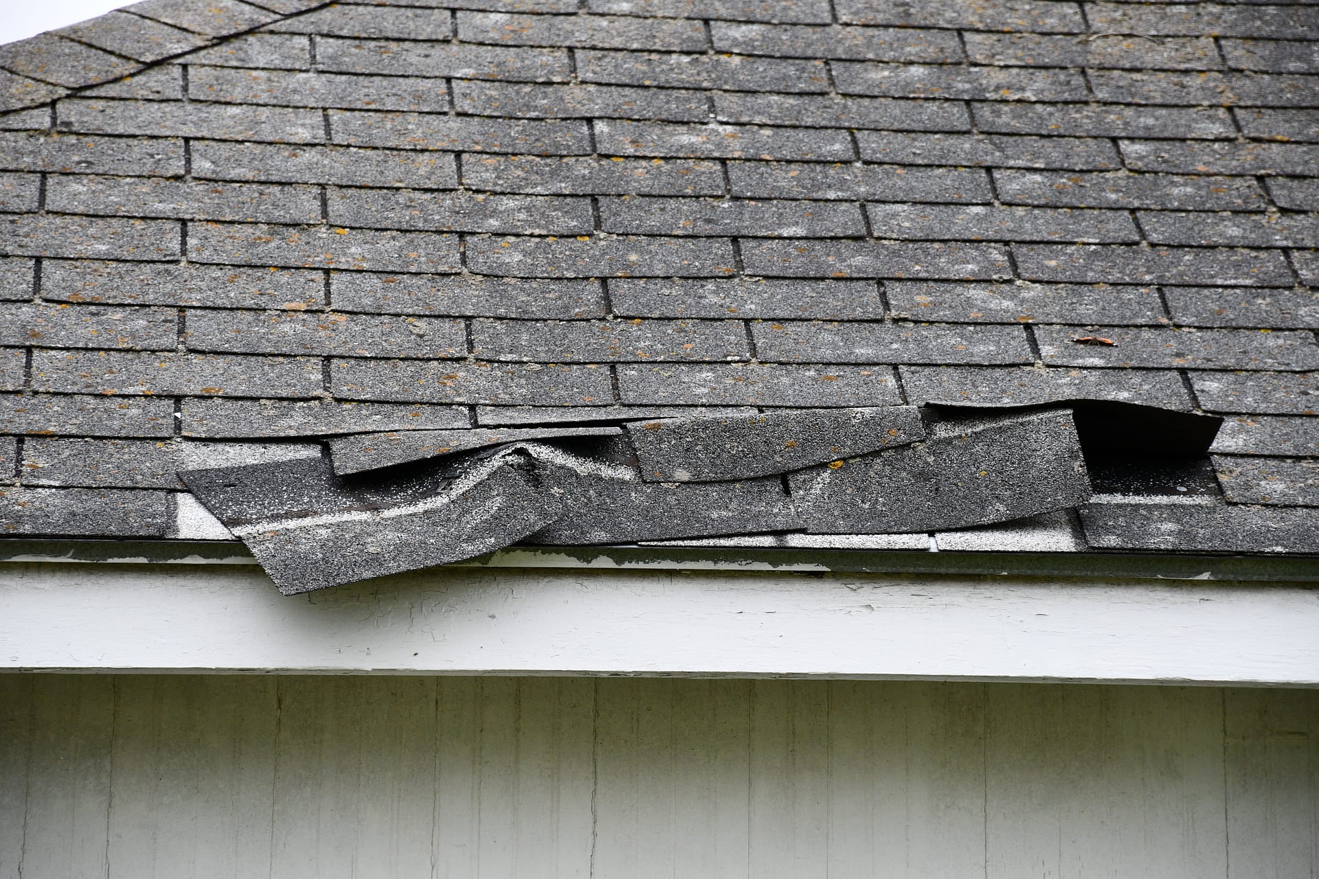 Shingle Damage Shingle Damage