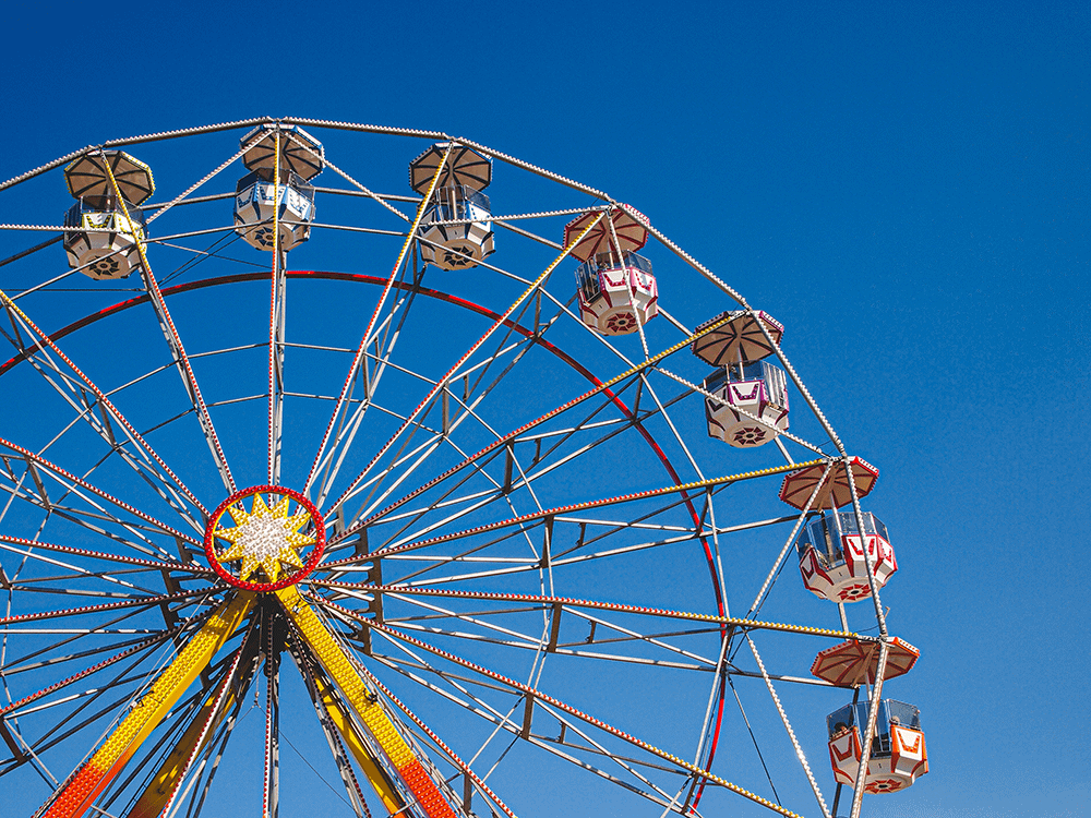Amusement Ride Failure