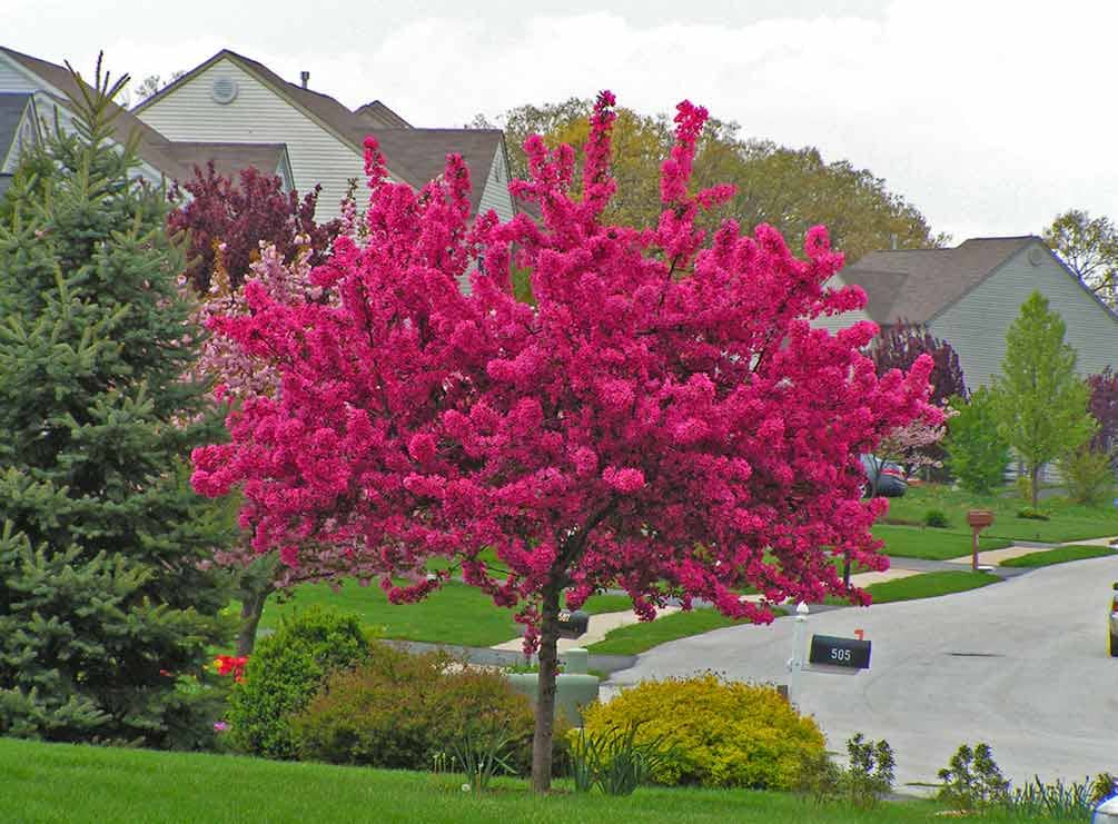 Gutter cleaning is important in the spring time