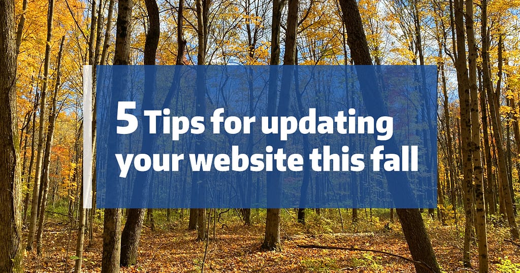 Fall forest of yellow leaved trees with text "5 tips for updating your website this fall"