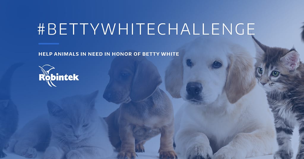 cats and dogs on a blue and white gradient background with the text "bettywhitechallenge: Help animals in need in honor of Betty White"