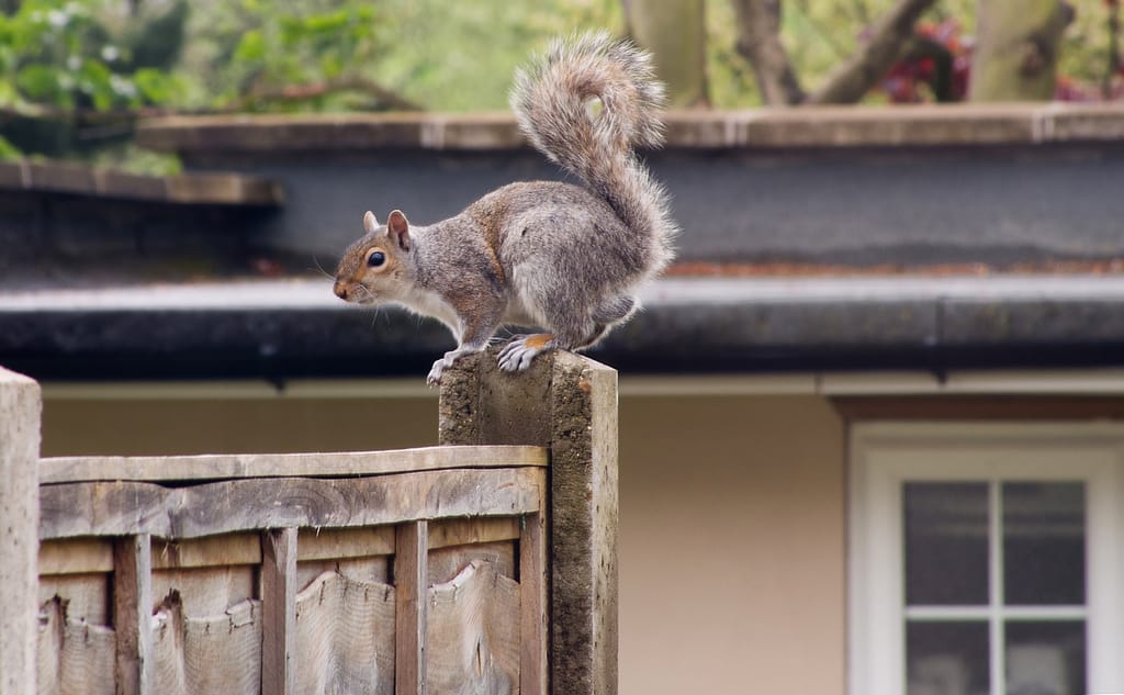 Three Roofing Problems to Avoid This Spring