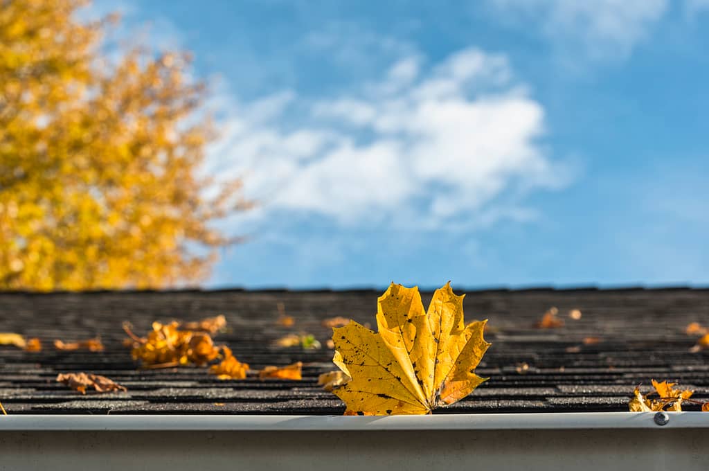 Our Top 5 Fall Roof Maintenance Guidelines