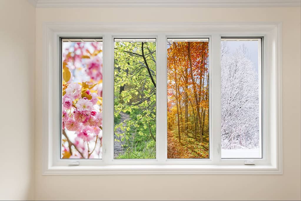 window in a home showing images of all four seasons. Year-round benefits of attic insulation includes better energy savings for your wallet and the environment.