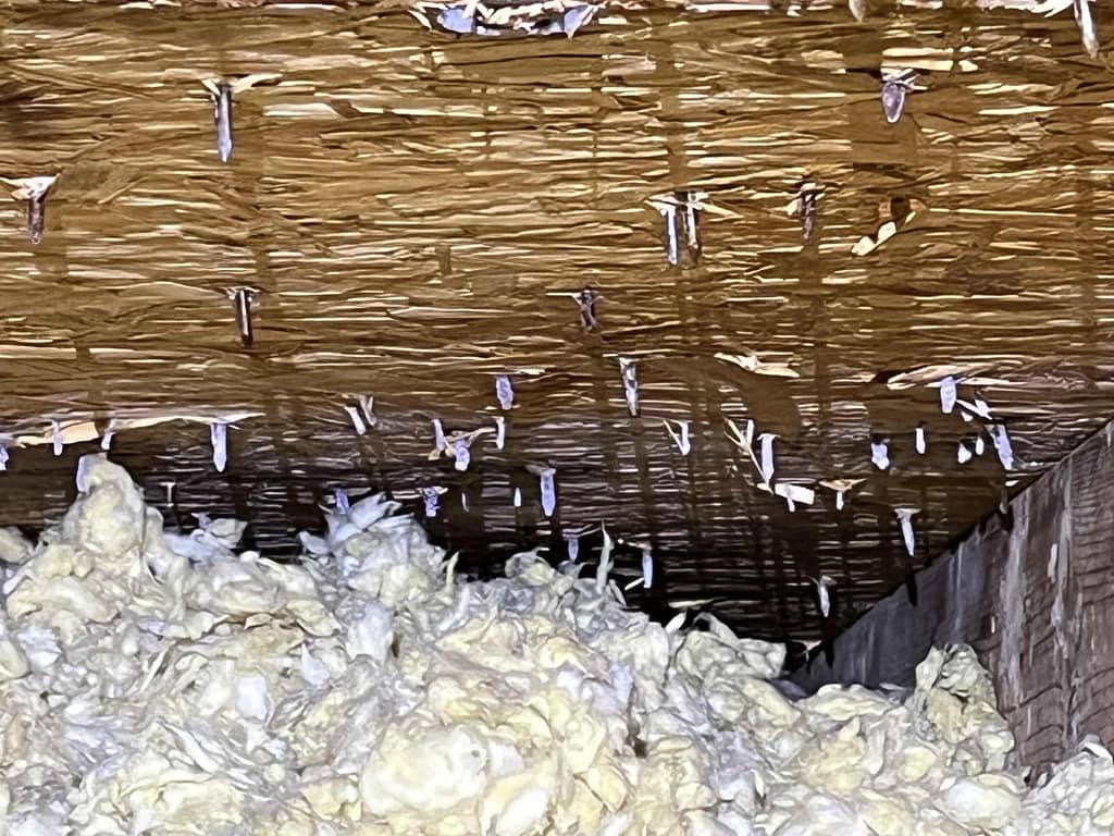 This is a picture of frosted nail, and wet insulation. A sure sign that you also see ceiling water stains in your home.