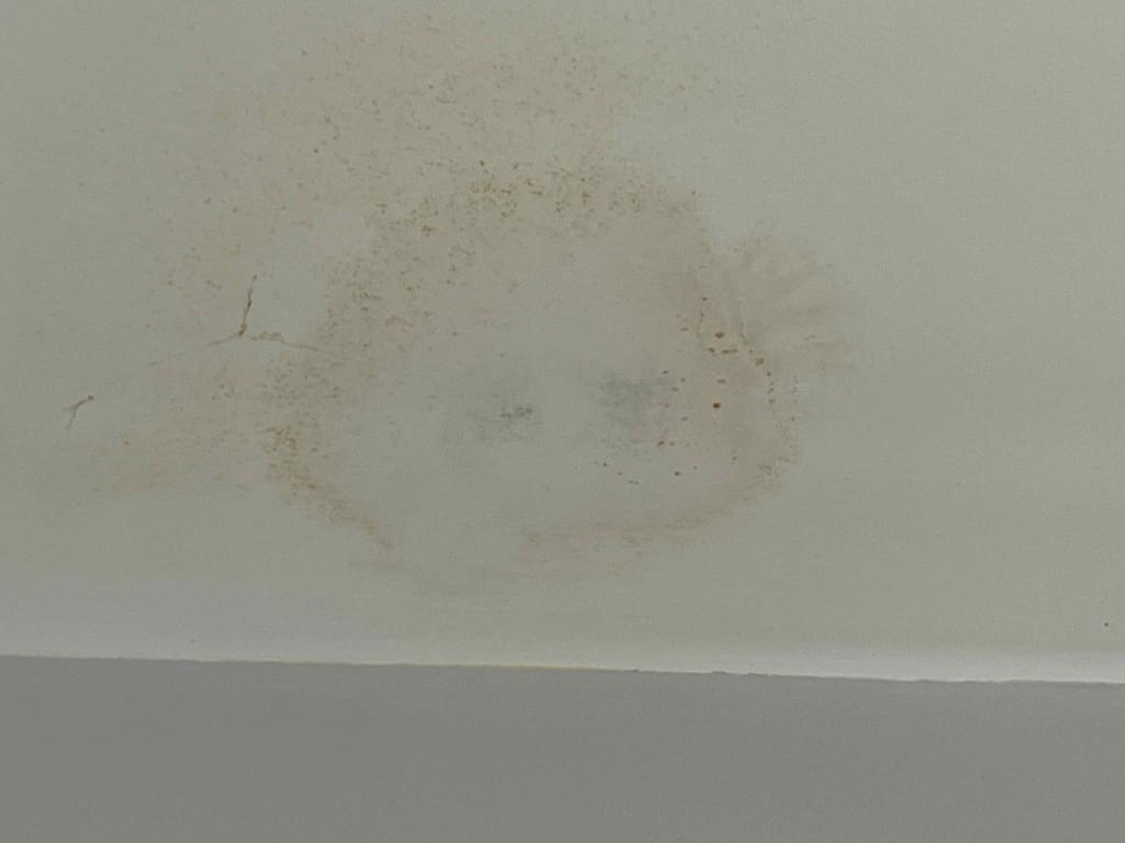 a ceiling with moisture stains