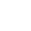 attic line icon