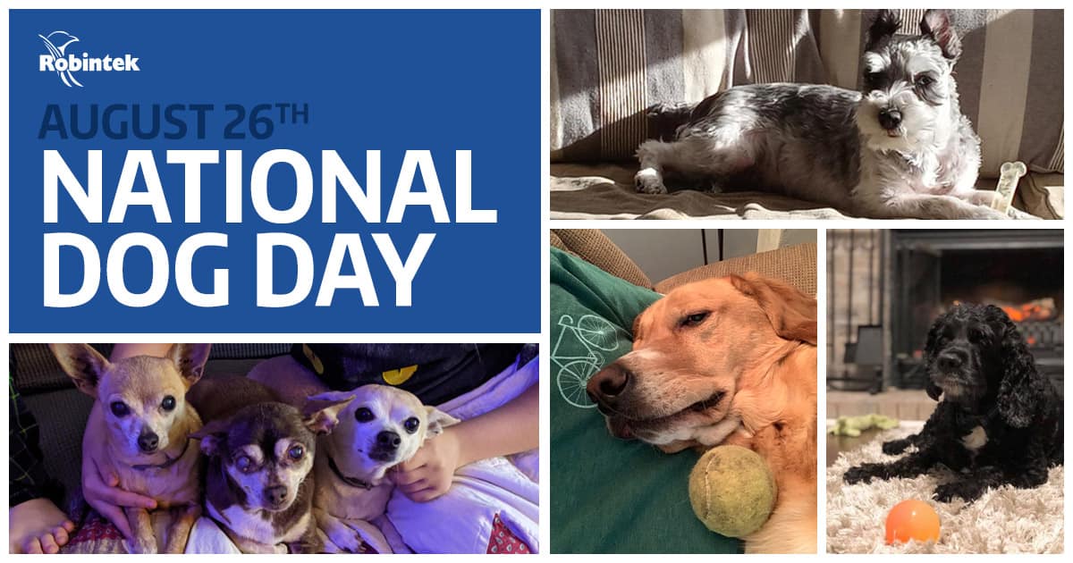 Celebrating National Dog Day August 26th Robintek Columbus Website