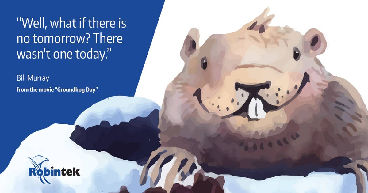 Web Design from Home on Groundhog Day in Columbus