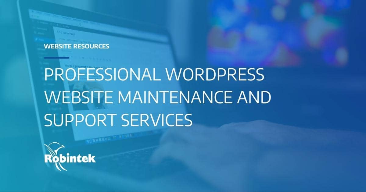 Professional wordpress website maintenance and support services blog header