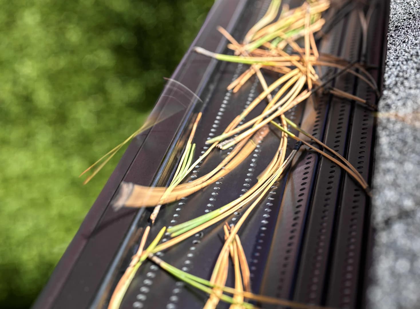 gutter Clean pro with eclipse technology helping to block debris