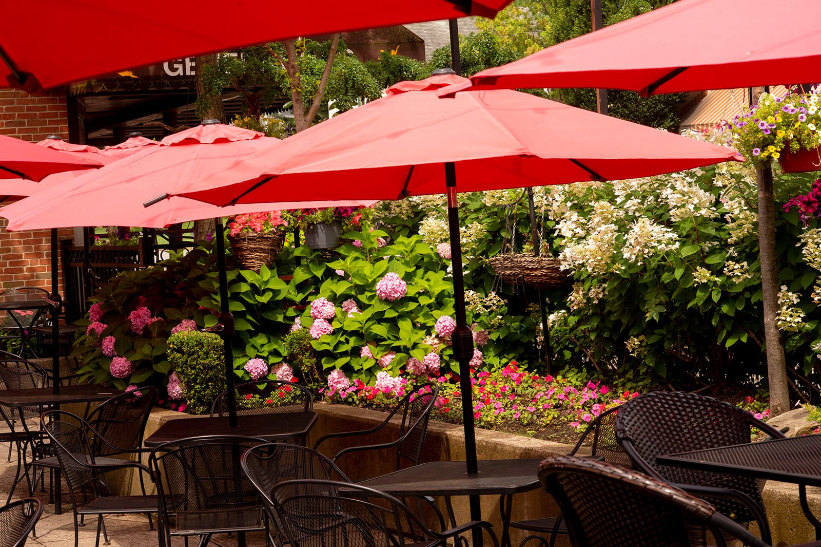 Westerville Ohio Flowers Plants Umbrella Web Design