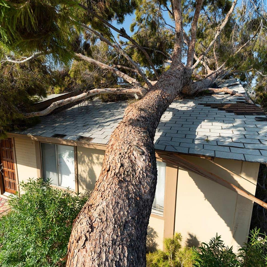 Roof Storm Damage Roof