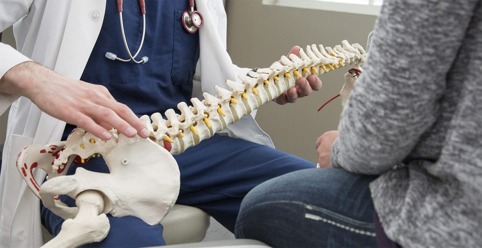 OSU SRI doctor holding model spine