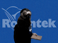 Shawn Tucker System Administrator