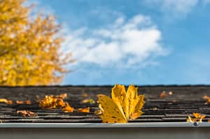 Our Top 5 Fall Roof Maintenance Guidelines