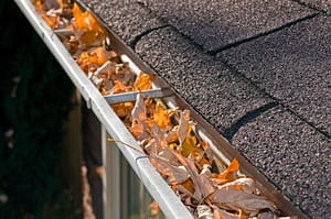 Leaves in rain gutter means it is time for gutter cleaning.