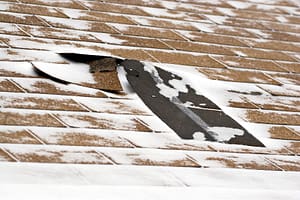 Winter Damaged Roof Shingles