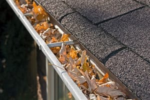 gutter maintenance