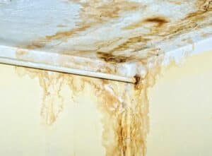 mold in your home