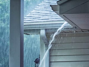 gutter maintenance