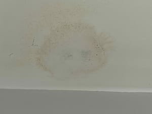 a ceiling with moisture stains