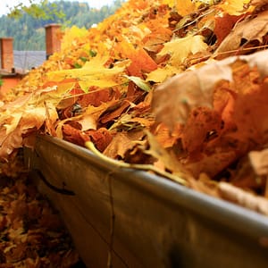 gutters clogged with leaves