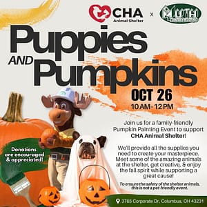 Puppies and Pumpkins helps support the CHA Animal Shelter