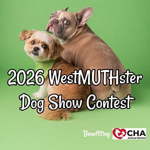 Two dogs looking over their shoulders, encouraging viewers to submit their dog photos for the 2026 WestMUTHster Dog Show Contest.