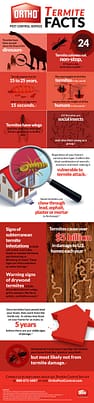 Ortho Pest Control Termite Facts Infographic