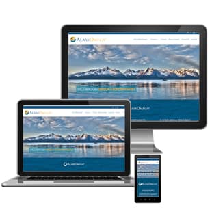 Responsive Mobile Website Design Example