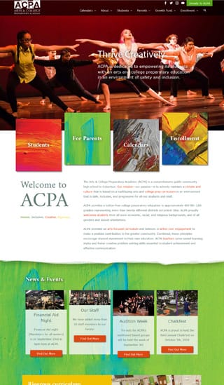 ACPA website home page layout design