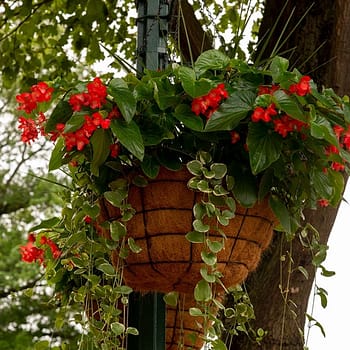 Worthington Ohio Flower Basket Website Design Company