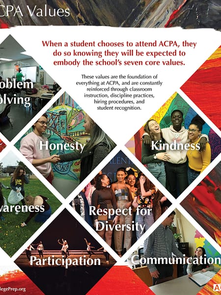 ACPA Values flyer design