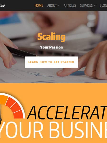 SpringerNav - Business and Marketing Website