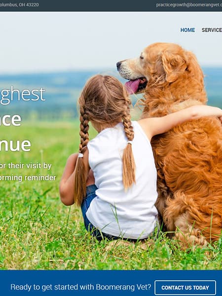 Boomerang Vet - Veterinary Reminder Strategy Website