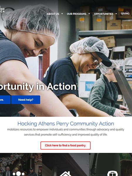 wordpress, community, action