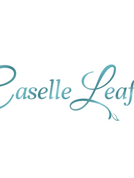Caselle Leaf Logo Design