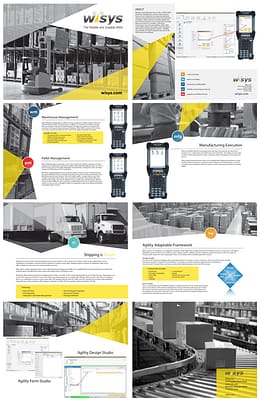 WiSys SAP Brochure