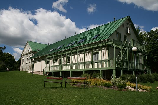 Metal Roofing