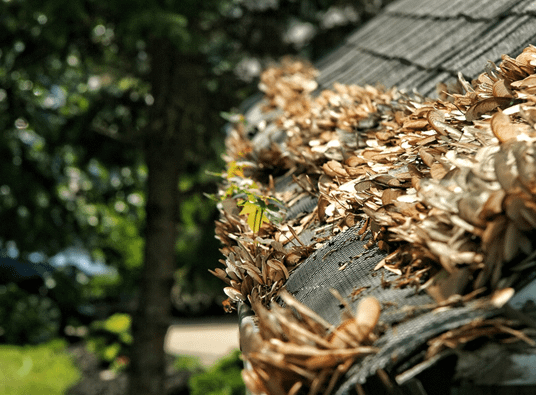 spring gutter cleaning