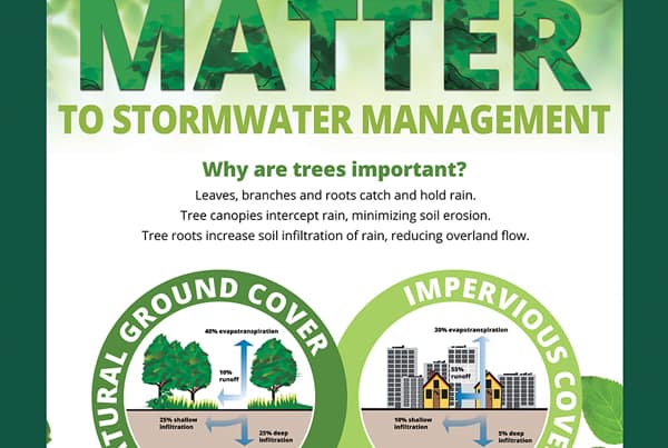 FSWCD trees matter sign