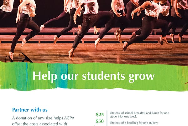 ACPA high school giving campaign flyer design