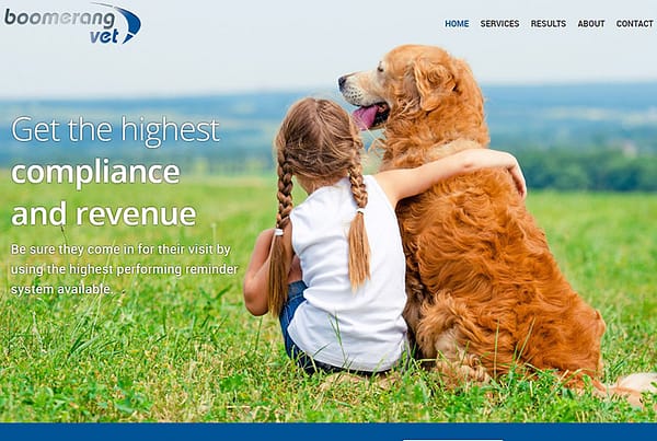 Boomerang Vet - Veterinary Reminder Strategy Website