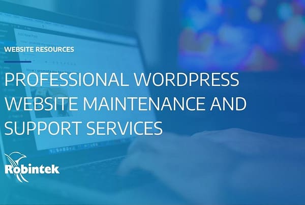 Professional wordpress website maintenance and support services blog header