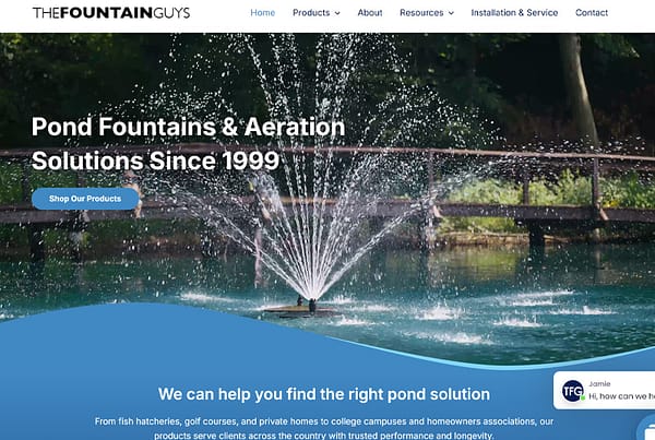 The Fountain Guys Website Design