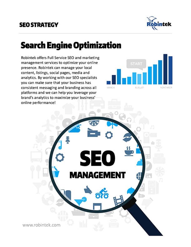 SEO Management Services - Search Engine Optimization